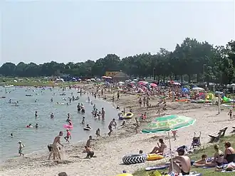 Berkendonk bij drukte