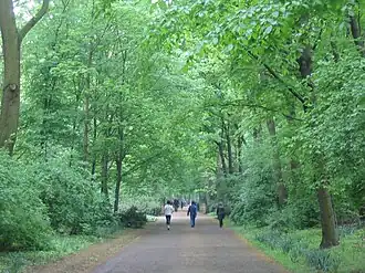 Großer Tiergarten