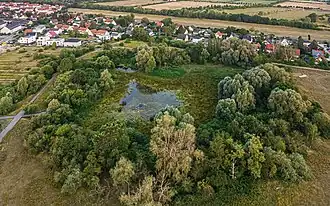 Gehrensee in Falkenberg