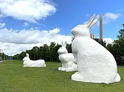 De Bermbunnies, Amsterdam