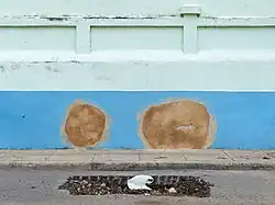 True nature #071 (Havana), 2017