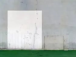 True nature #154 (Tokyo), 2019