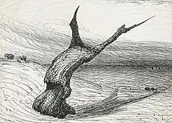 Boomstronk in een leeg landschap