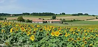 Landschap bij Bessac (gehucht Le Menot)