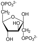 Structuurformule van β-D-fructose-1,6-difosfaat