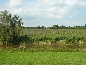Bethunepolder gezien vanaf de dijk (Middenweg)