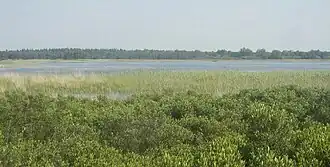 Uitzicht over het Beuven met oeverzones