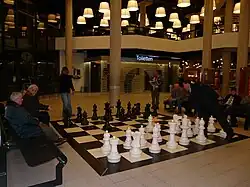 Schaakspel in de entreehal