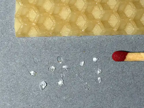 Net uitgescheiden nog witte wasplaatjes met daarboven een tussenwand van bijenwas