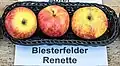 Biesterfelder Renet
