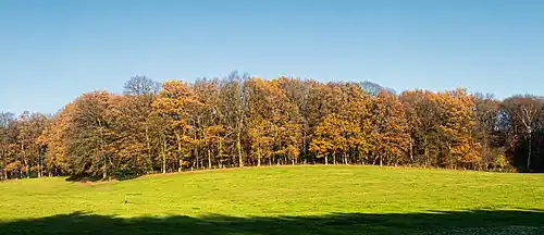Bomen bij de Duivelsberg