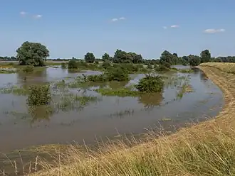 Uiterwaarden van de Waal tijdens hoog water