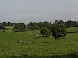 Heuvellandschap bij Trintelen