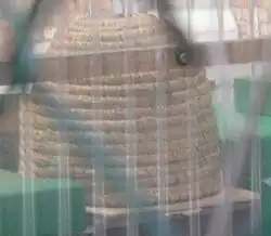 Een bijenkorf van stro