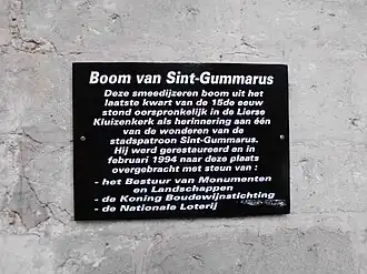Bijschrift Sint-Gummarusboom