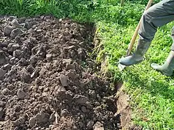 Bij het spitten wordt de bovenlaag van de grond gekeerd