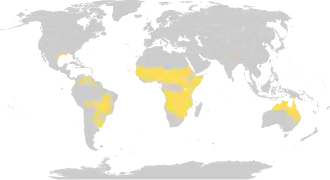 Tropisch of subtropisch grasland, savanne of struweel