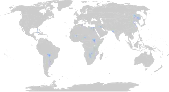 Overstromende graslanden en savannes