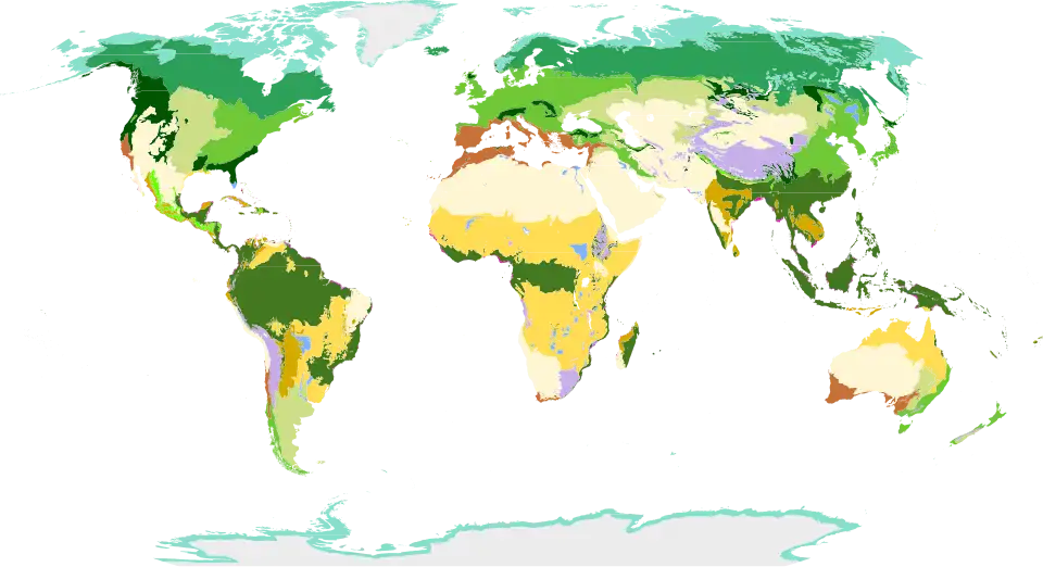 De indeling naar biomen volgens het WWF