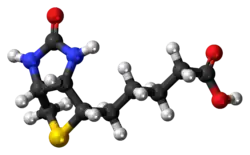 Molecuulmodel van biotine