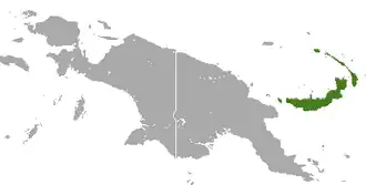 Melonycteris melanops