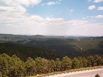 Black Hills nabij Mount Rushmore
