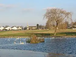 Blackheath Pond