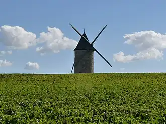 Molen bij Blaignan