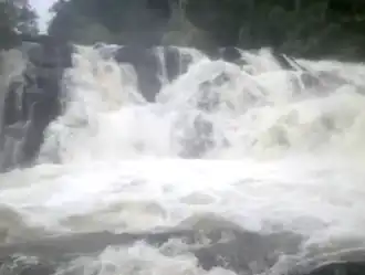 De Blanche Marievallen in 2012