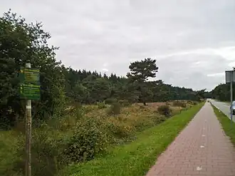 Blaricummerheide vanaf de Boussevainweg