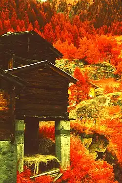 Blatten infrarood 1976, bij zonnig weer