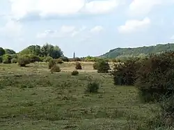 Zicht over Blauwe Kamer met in het midden de kerktoren van Rhenen en rechts daarvan de Heimenberg