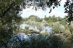 Zicht uit vogelkijkhut op poel in de Blauwe Kamer