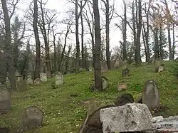 Joodse begraafplaats in Blevice