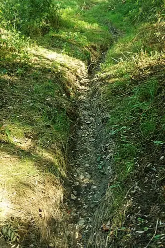 Bleijerheiderbeek, drooggevallen in de droge zomer van 2018