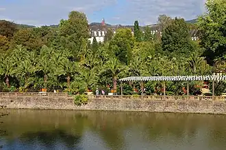 De palmentuin gezien vanaf kasteel Pyrmont