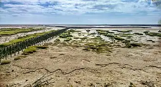 De Waddenzee bij Grothusenkoog