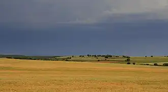 Omgeving van Bliecos