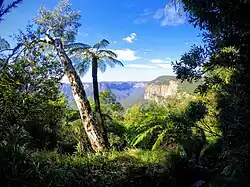 Arcadisch doorkijkje