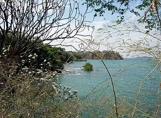 Zuidkust van Isla Boca Brava