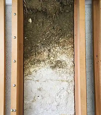 Bodemprofiel van een krijtvaaggrond