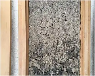 Profiel met zware rivierklei