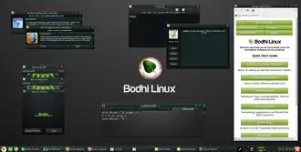 Bodhi Linux