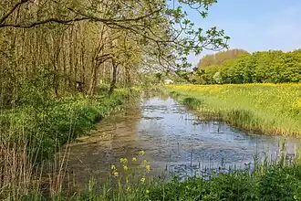 Boezem en rand Mallebos in de lente