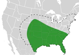 Bombus pensylvanicus
