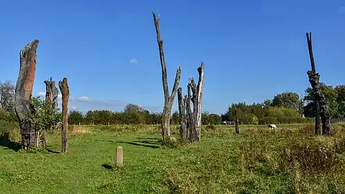 Bomencirkel van Meers