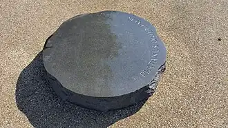 Een van de boomschijven "Platanus orientalis" (september 2018)