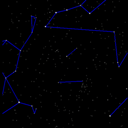 Animatie van Hoofdhaar en Ossenhoeder