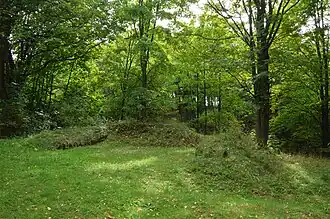 Resten van Kasteel Boršengrýn