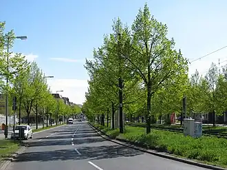 De straat gezien vanaf de Platz des 9. November